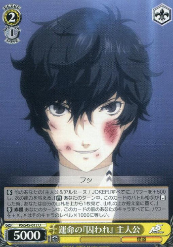 Fated "Imprisonment", Protagonist P5/S45-012 U