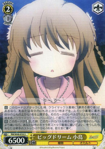 Kotori, Big Dream RW/W48-018 U
