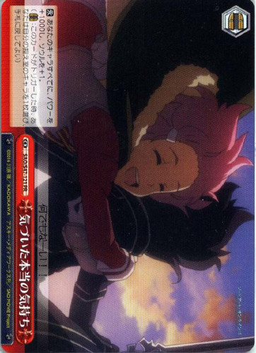 Realization of True Feelings SAO/S47-121 PR