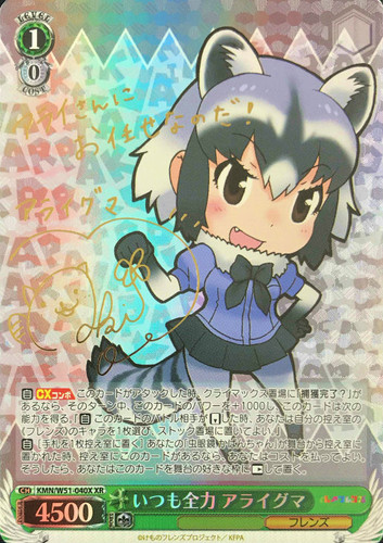 Common Raccoon, Always Full Power KMN/W51-040X XR