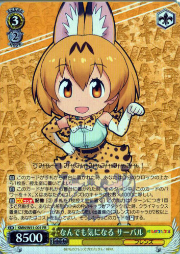 Serval, Curious About Everything KMN/W51-001 FR
