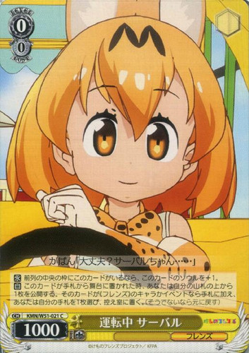 Serval, Driving KMN/W51-021 C