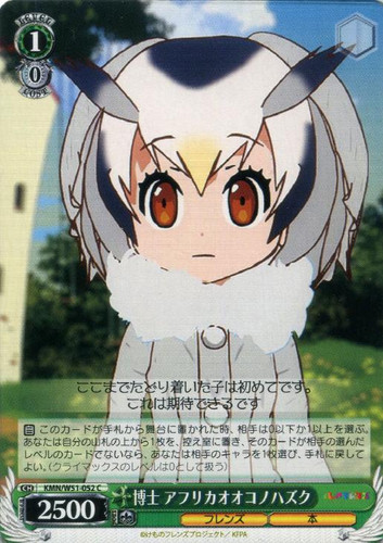 Northern White-faced Owl, Professor KMN/W51-052 C