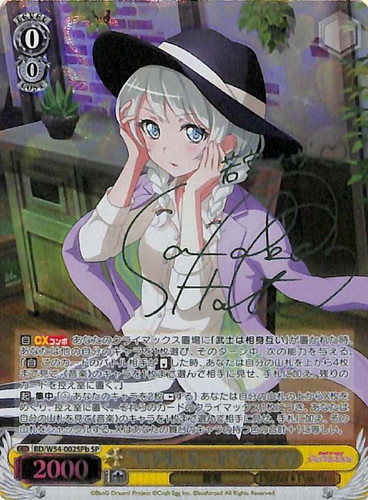 Model Mode Eve Wakamiya BD/W54-002SPb SP