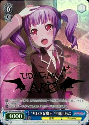 Little Demon King Ako Udagawa BD/W54-084SPMa SPM