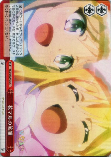 Perfect Smiles HLL/WE28-25 C Foil