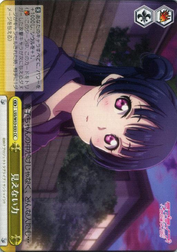 Invisible Power LSS/W53-033 CC
