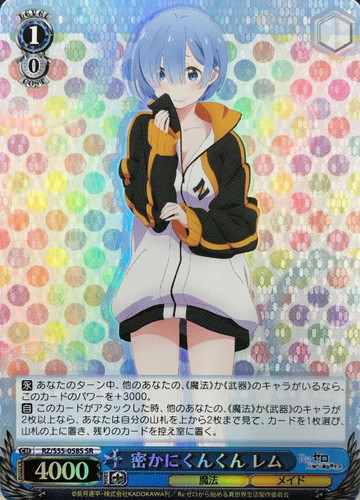 Rem, Secretly Sniffing RZ/S55-058S SR