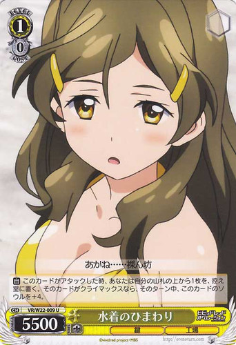 Himawari in Swimsuits VR/W22-009 U