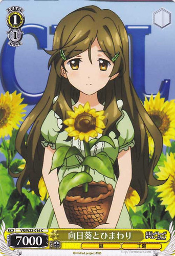 Himawari (Sunflower) And Himawari VR/W22-016 C