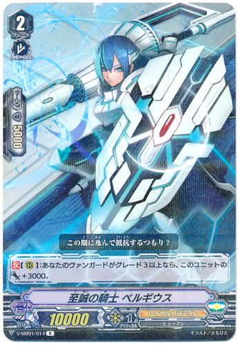 Knight of Devotion, Bergius V-MB01/014 R