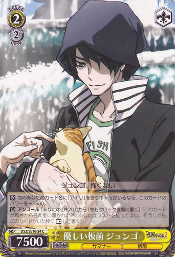 Jungo, Kind Cook DS2/SE16-24 C