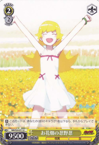 Shinobu Oshino in the Flower Fields NM/S24-011 U
