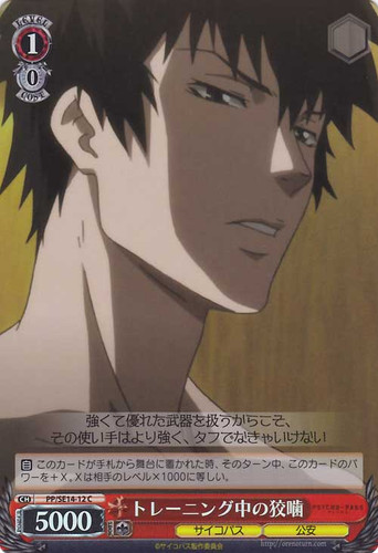 Kougami During Training Foil PP/SE14-12 C