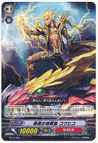 Brawler of Skills, Kou Hiko TD15/002