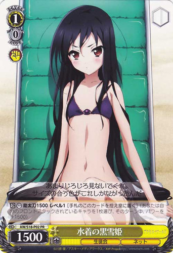 Kuroyukihime in Swimsuits AW/S18-P02 PR