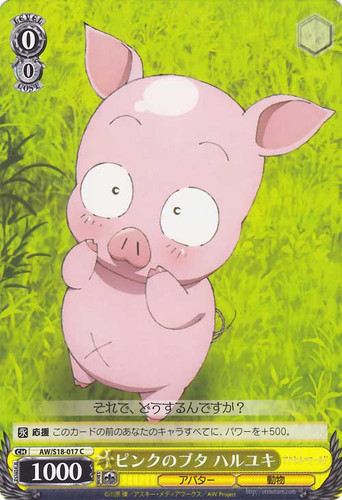 Haruyuki, Pink Piggy AW/S18-017