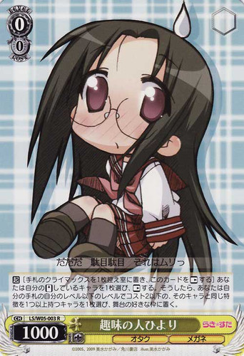 Hiyori, Hobbyist R LS/W05-003