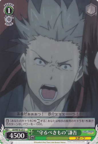 "Something to Protect" Kengo C LB/WE18-25
