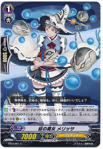 Witch of Frogs, Melissa C EB12/021