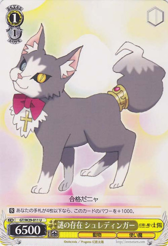 Schrödinger, Mysterious Existence GT/W29-011